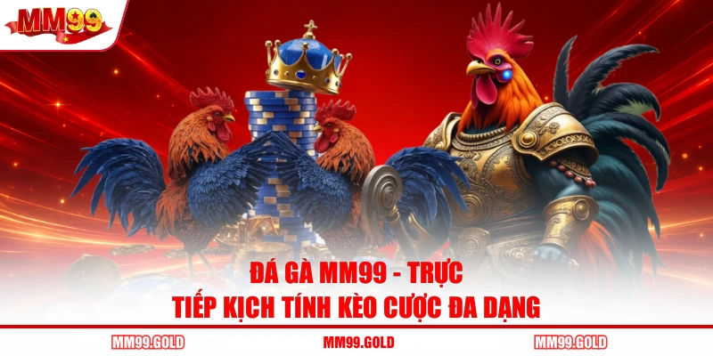 Đá Gà MM99 - Trực Tiếp Kịch Tính Kèo Cược Đa Dạng