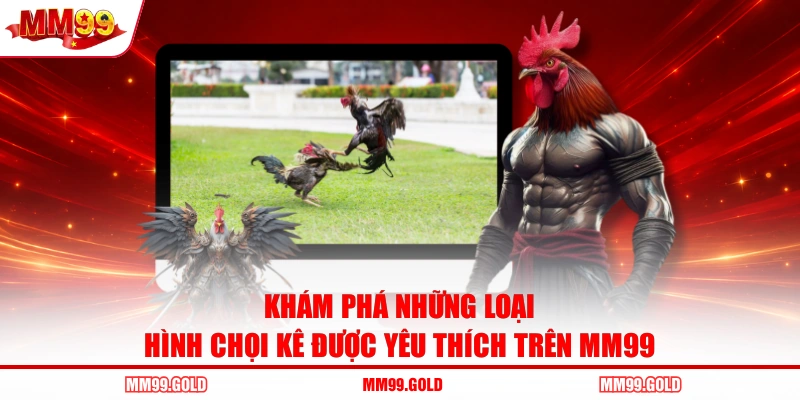 Khám phá những loại hình chọi kê được yêu thích trên MM99