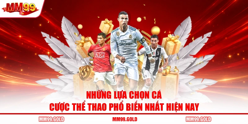 Những lựa chọn cá cược thể thao phổ biến nhất hiện nay